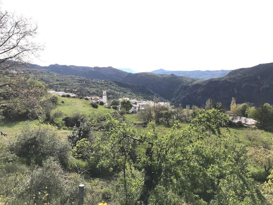 La Casa Rural De Paco Y Ana Pitres Eksteriør billede