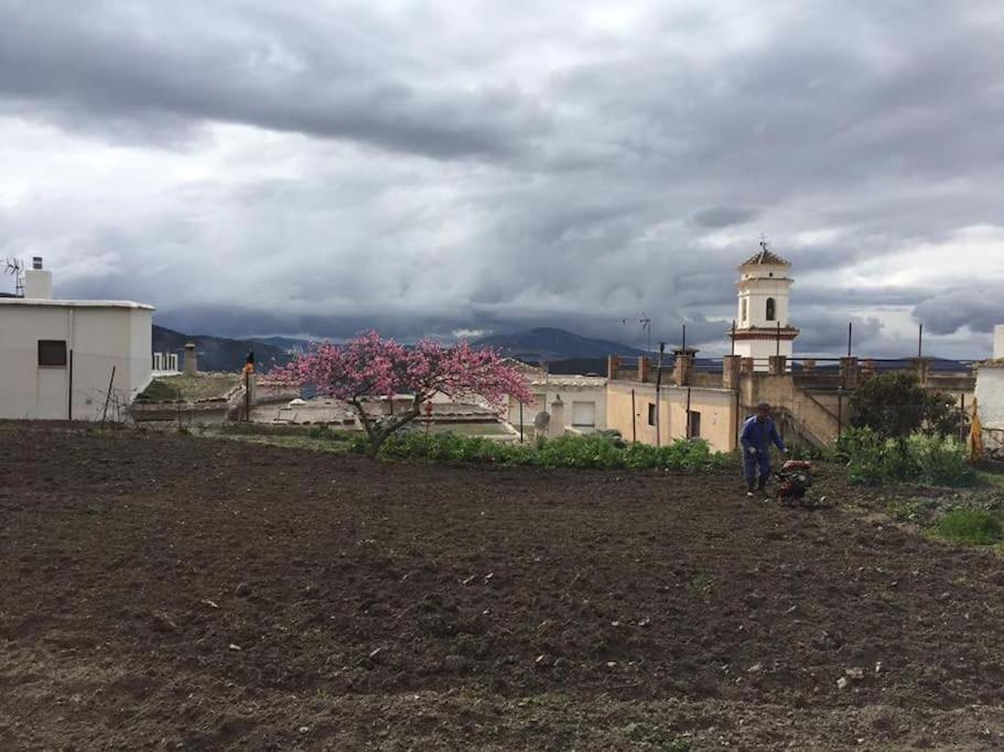La Casa Rural De Paco Y Ana Pitres Eksteriør billede