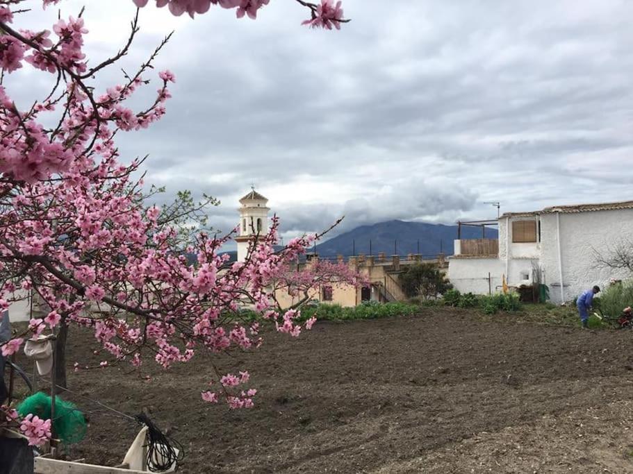 La Casa Rural De Paco Y Ana Pitres Eksteriør billede