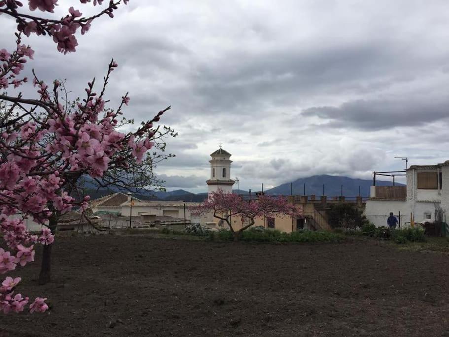 La Casa Rural De Paco Y Ana Pitres Eksteriør billede