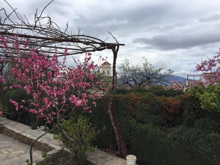 La Casa Rural De Paco Y Ana Pitres Eksteriør billede