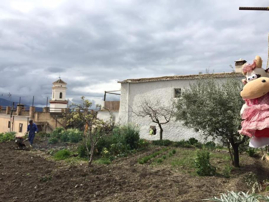 La Casa Rural De Paco Y Ana Pitres Eksteriør billede